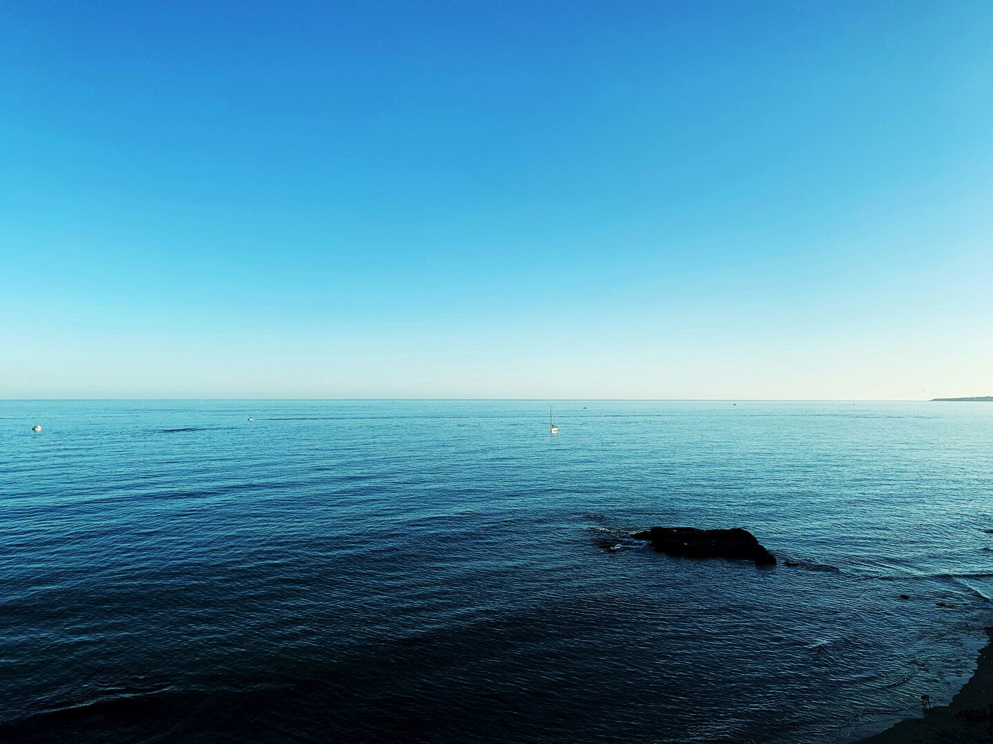 text-image-collection