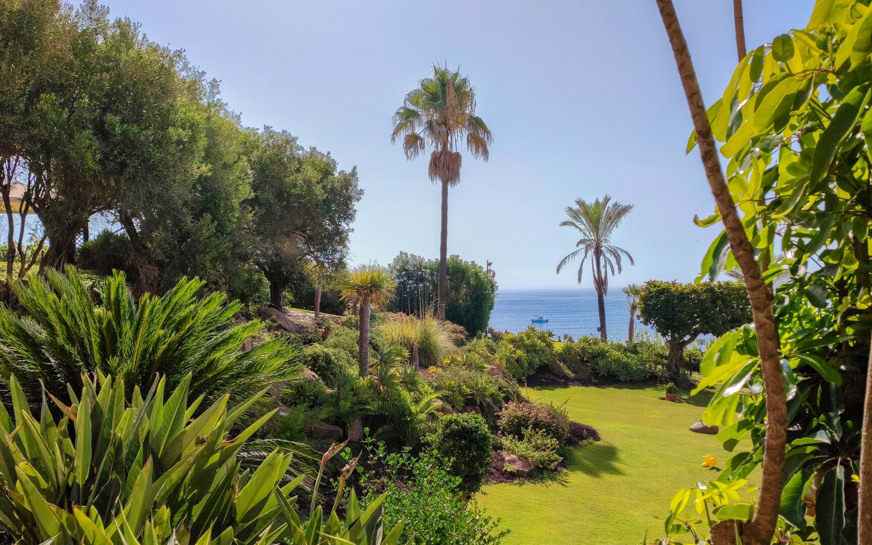 text-image-collection